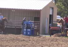 11 11 14 Coleman and Jake TGs House