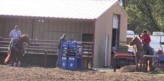 11 11 14 Coleman and Jake TGs House