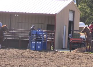 11 11 14 Coleman and Jake TGs House