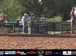 Speed and Rich School Saddle Winners and Highlights and Bloopers