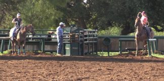 Speed and Rich School Saddle Winners and Highlights and Bloopers