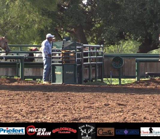 Speed and Rich School Saddle Winners and Highlights and Bloopers