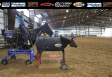 Teaching Heeling with Gabriel