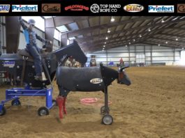 Teaching Heeling with Gabriel