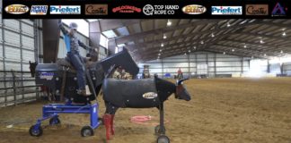 Teaching Heeling with Gabriel