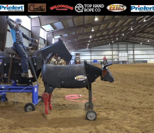 Teaching Heeling with Gabriel