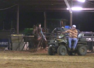 My New Horse Trainer