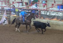 Gabriel Runs Fired Up Number 6