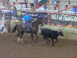 Gabriel Runs Fired Up Number 6