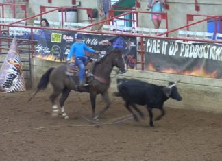 Gabriel Runs Fired Up Number 6