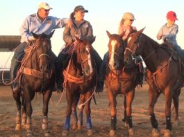 Hali Getting Ready for the Junior High School Rodeos