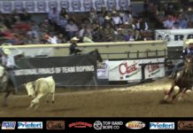 Reaching Part 2 Off Your Horse