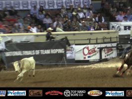 Reaching Part 2 Off Your Horse