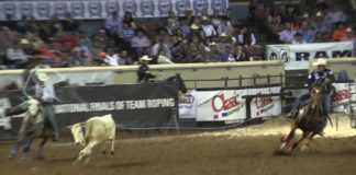 Reaching Part 2 Off Your Horse