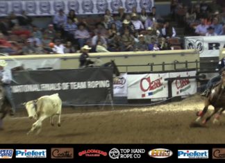 Reaching Part 2 Off Your Horse