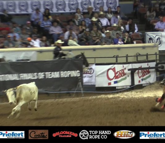 Reaching Part 2 Off Your Horse