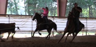 Hali Heeling Number 8 Garrison