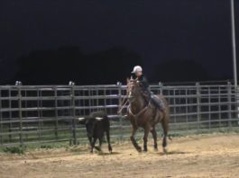 Hali getting Ready for Waco Plus Gabe Turning Some