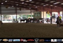 Hali Team Roping Runs at TJHSF