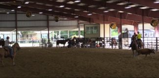 Hali Team Roping Runs at TJHSF