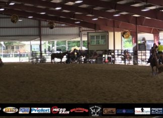 Hali Team Roping Runs at TJHSF