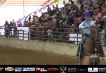 Hali First Steer at State Finals