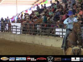 Hali First Steer at State Finals