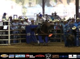 Hali 1st Calf at State Finals