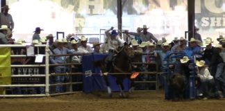 Hali 1st Calf at State Finals