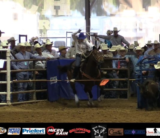 Hali 1st Calf at State Finals