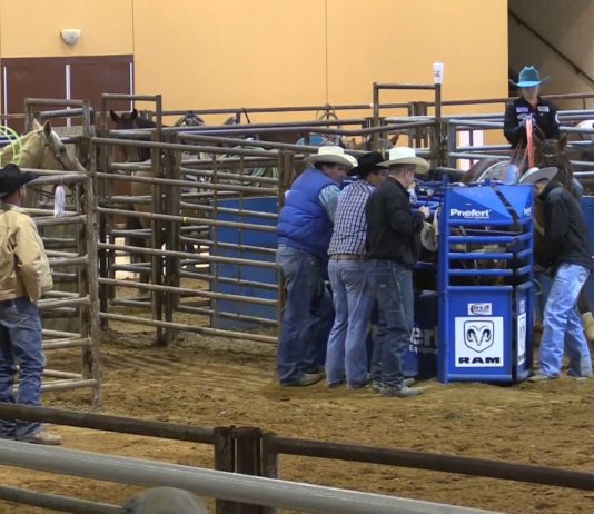 11 19 16 Hali Jr Rodeo 1 st Perf Nac Tx