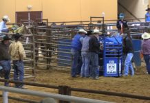 11 20 16 Hali Jr Rodeo Nac Tx 2 nd Perf