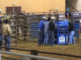 11 20 16 Hali Jr Rodeo Nac Tx 2 nd Perf