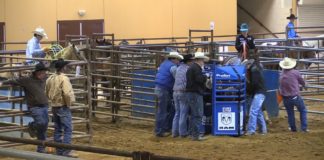 11 20 16 Hali Jr Rodeo Nac Tx 2 nd Perf