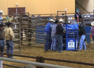 11 20 16 Hali Jr Rodeo Nac Tx 2 nd Perf