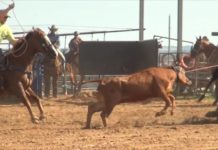9 8 14 How To Work on Roping Faster
