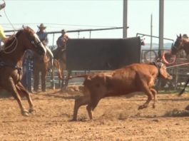 9 8 14 How To Work on Roping Faster