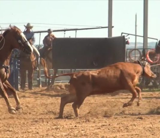 9 8 14 How To Work on Roping Faster