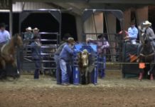 Texas Showdown 3 rd Roping 2nd Steers