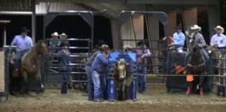 Texas Showdown 3 rd Roping 2nd Steers