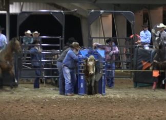 Texas Showdown 3 rd Roping 2nd Steers