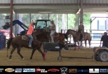 Working a Fresh Heel Horse