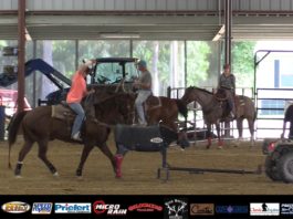 Working a Fresh Heel Horse
