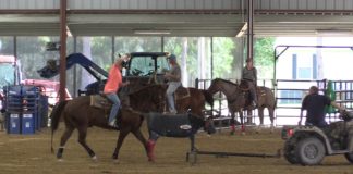 Working a Fresh Heel Horse