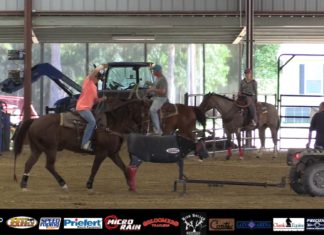 Working a Fresh Heel Horse