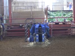 Fired Up Short Round 7 Roping