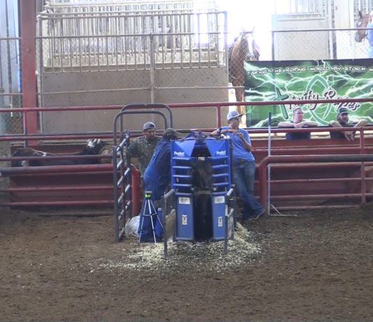 Fired Up Short Round 7 Roping