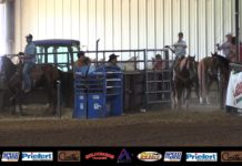 Permian Basin 13 Slide Short Go free