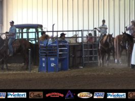 Permian Basin 13 Slide Short Go free