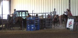 Permian Basin 13 Slide Short Go free